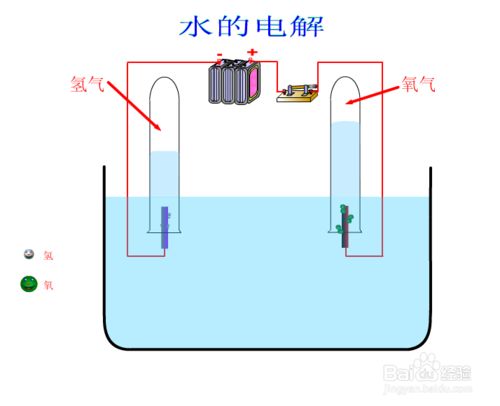 太空宇航员在空间站怎么睡觉,空间站是怎么在太空保持不动的