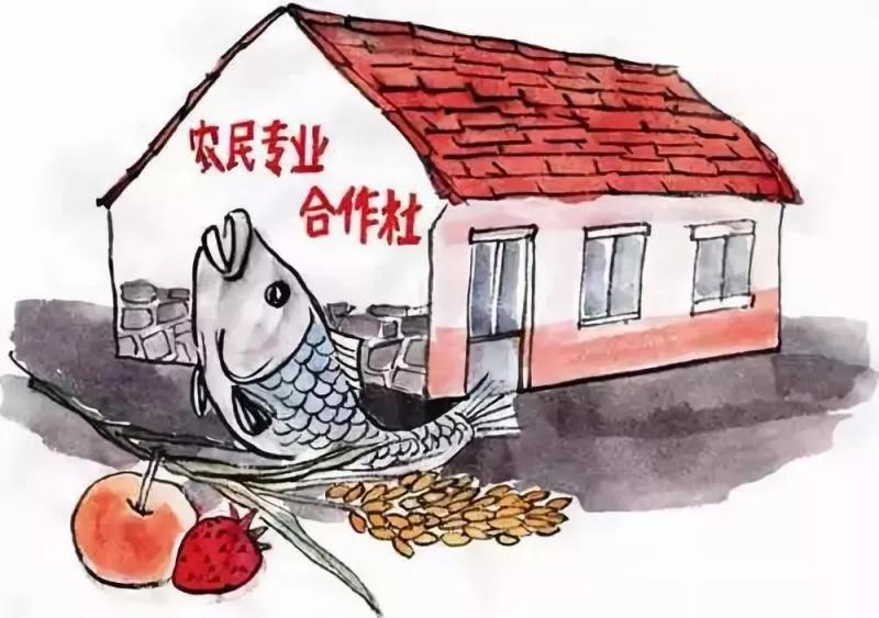 农民合作社质量提升,农民合作社怎么升级