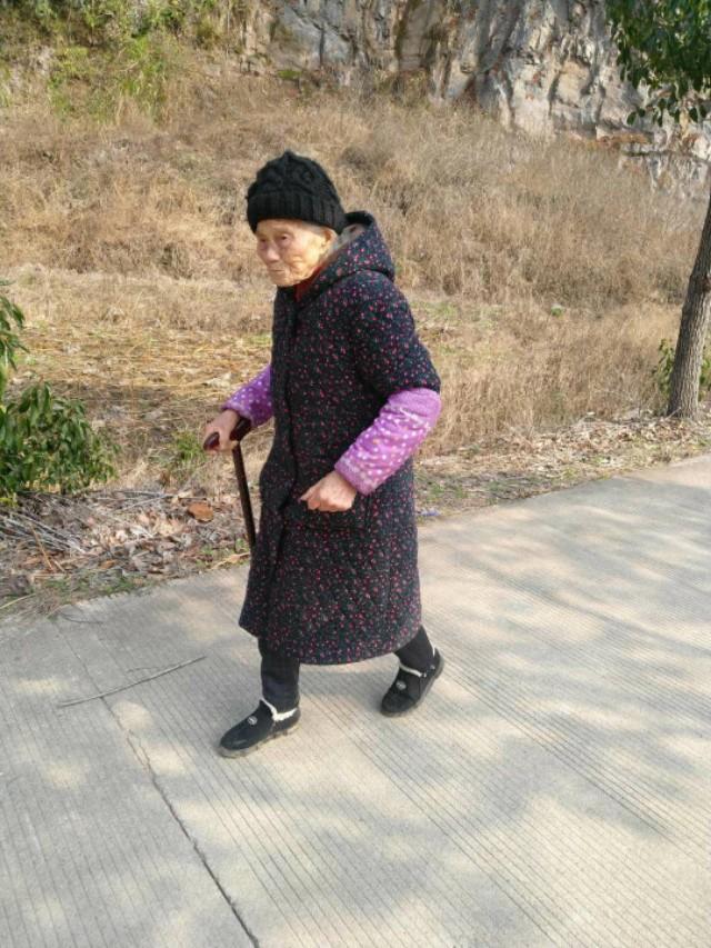 农业合作化的主要原则,农业合作化的实质