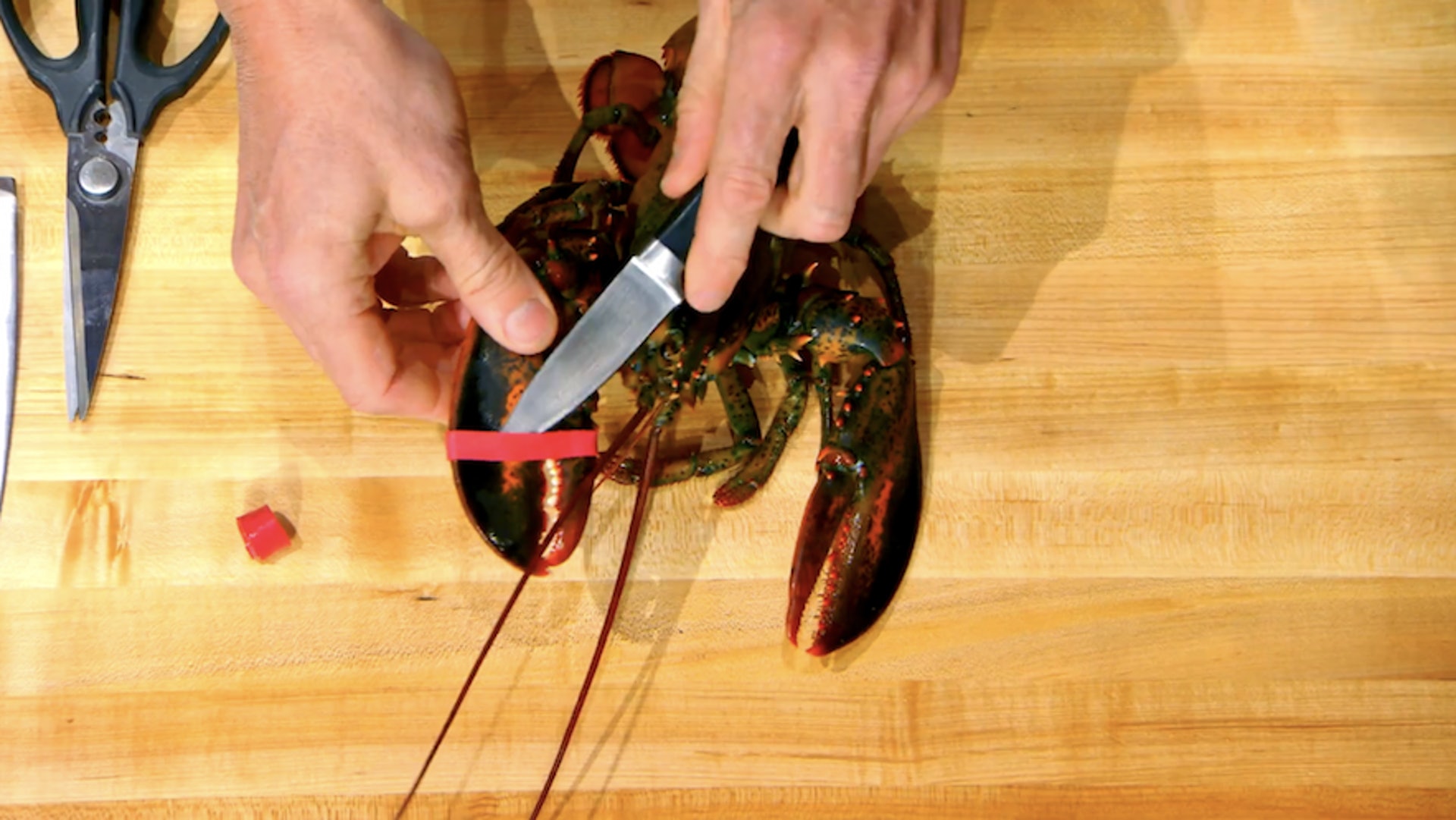 戈登拉姆齐龙虾肉,戈登拉姆齐取龙虾肉视频