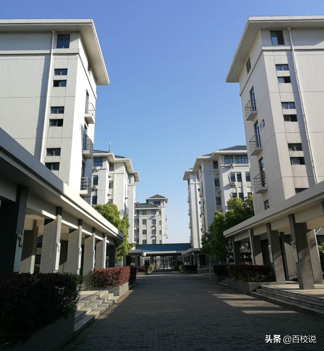 东南实力强的大学,东南大学是普通985还是强势985