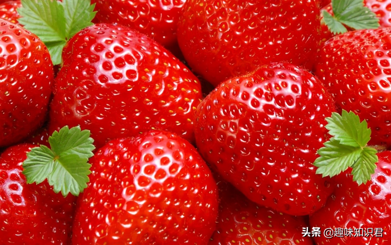 每日小科普有趣的冷知识分享,最有趣的冷知识你知道吗