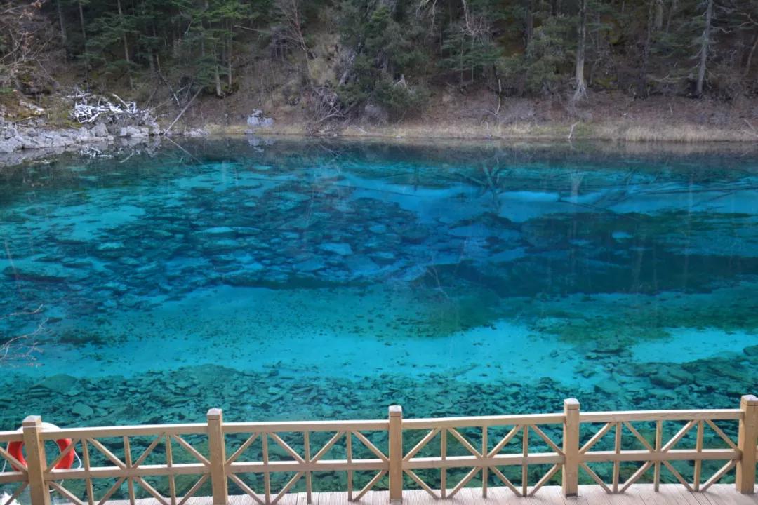 法系车雪铁龙世嘉,法系车雪铁龙c4世嘉怎么样