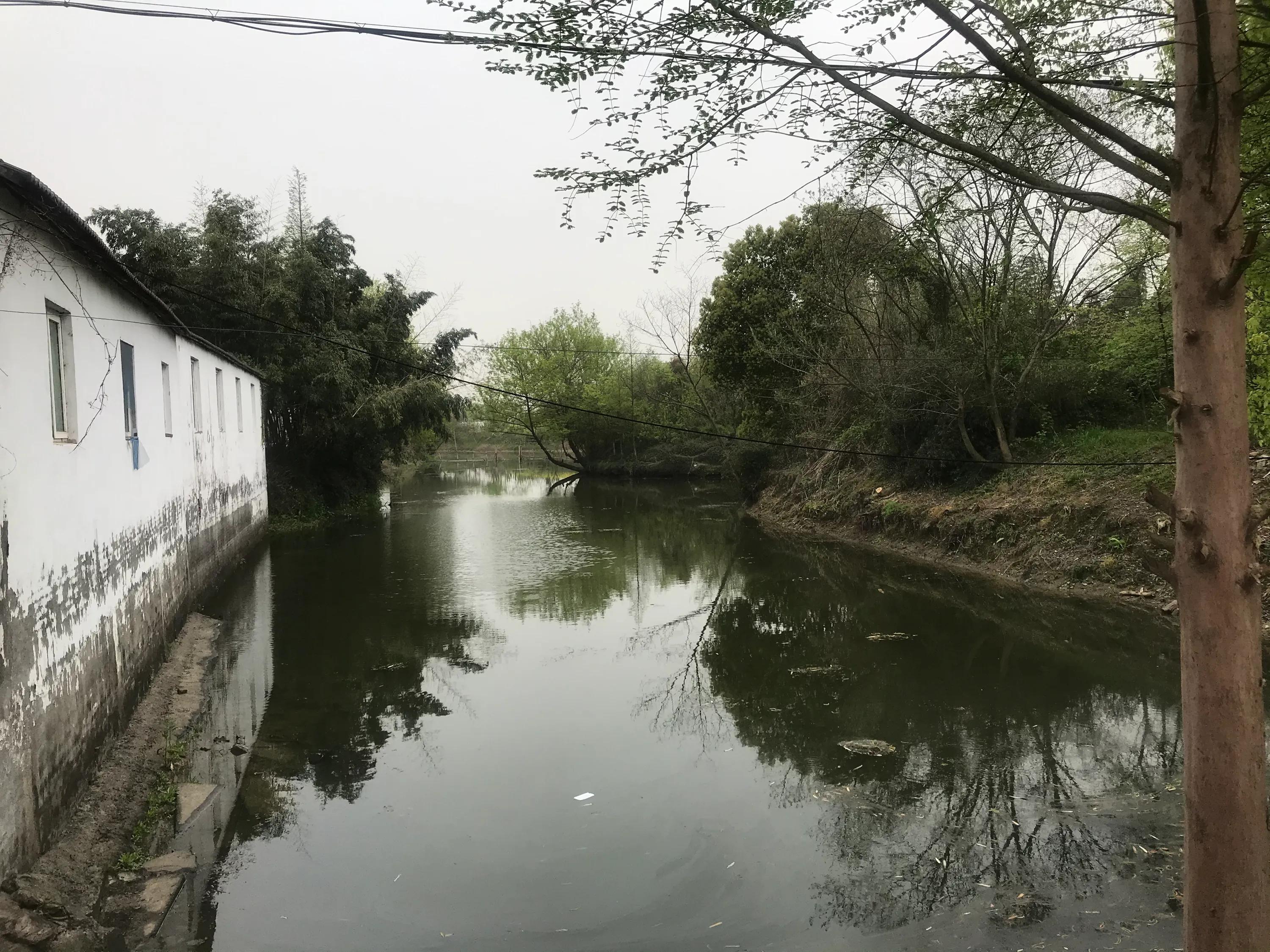 苏州吴江震泽八都,吴江区震泽八都贯桥社区