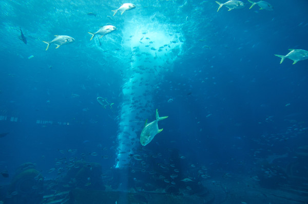 三亚度假公寓58平,三亚度假公寓两室