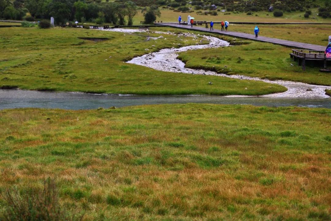 稻城亚丁春天视频,稻城亚丁春天风景