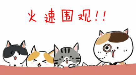 向日葵、比卡丘,嗨翻桐梓这些学校