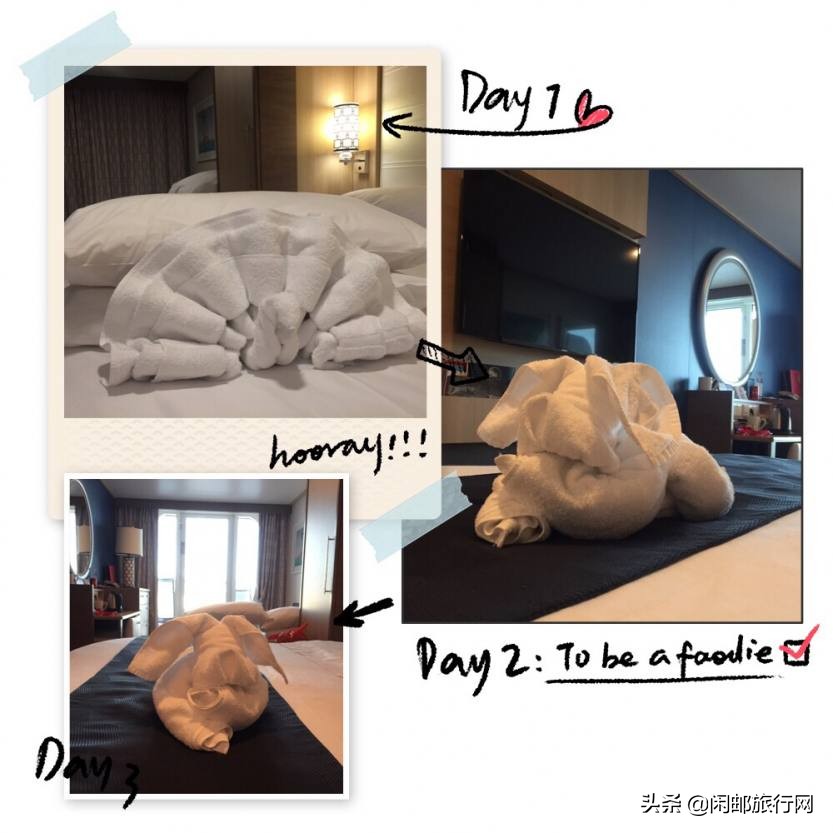 同仁健康筑梦远航2019.11.11海洋光谱号狂欢之旅