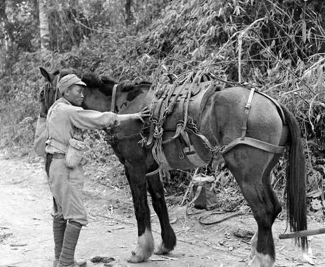 黄骅:32岁被同僚所害,其名命名为一座城,作家为他寻根23年