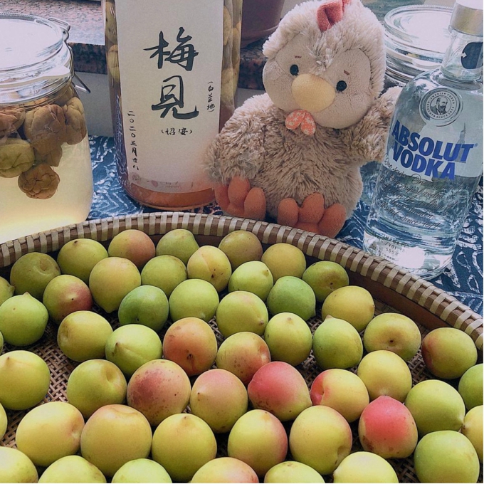 青梅酒的正宗制作方法,青梅酒的正宗制作方法和配方