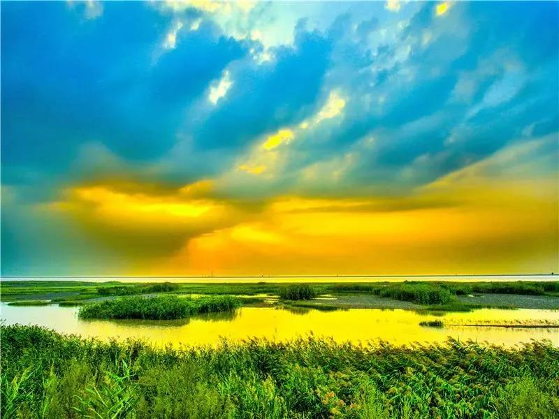 盘锦情书完整版,盘锦情书最新版