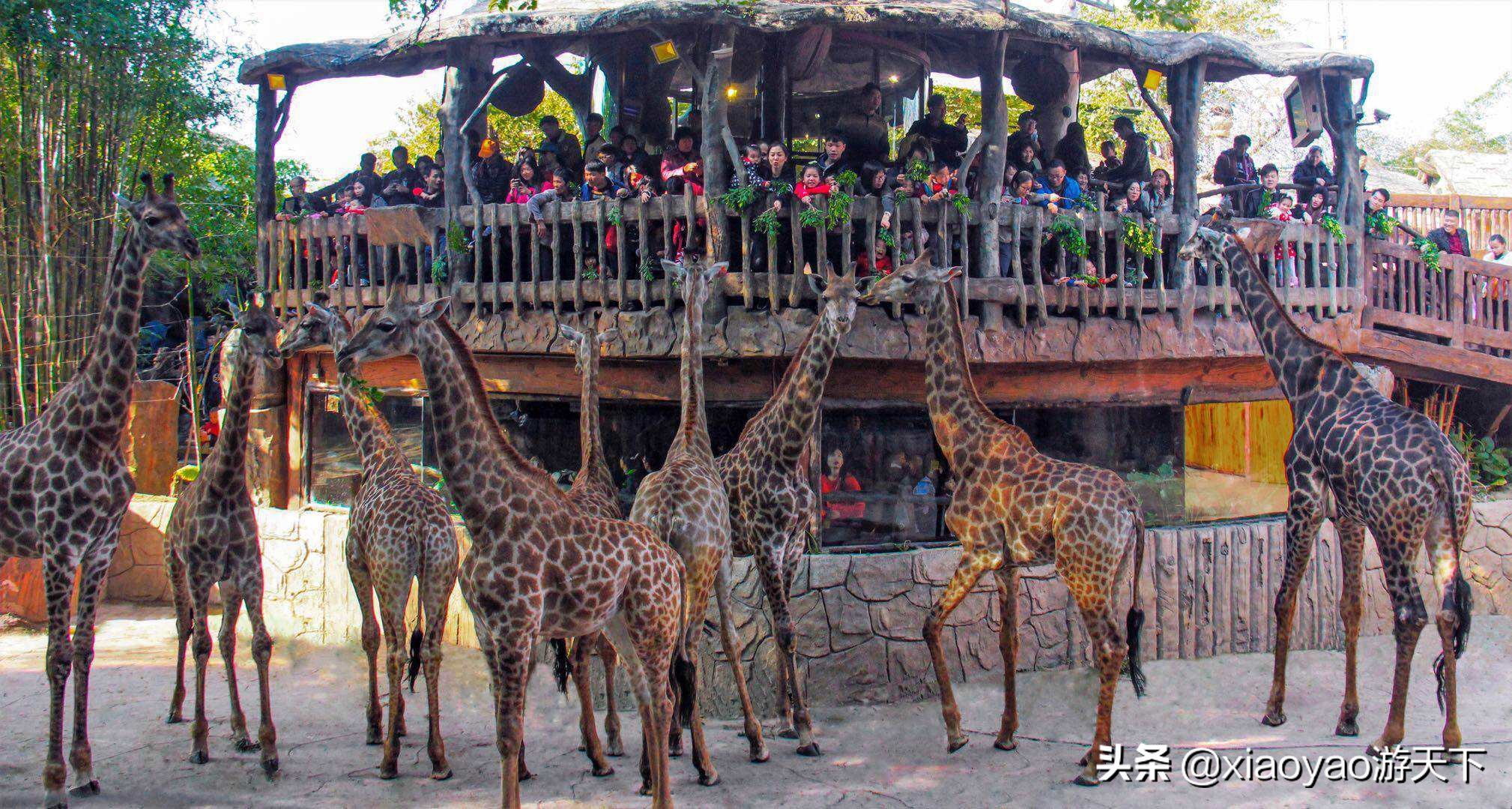 国家A级景区门票政策,全省104家a级旅游景区全部免票