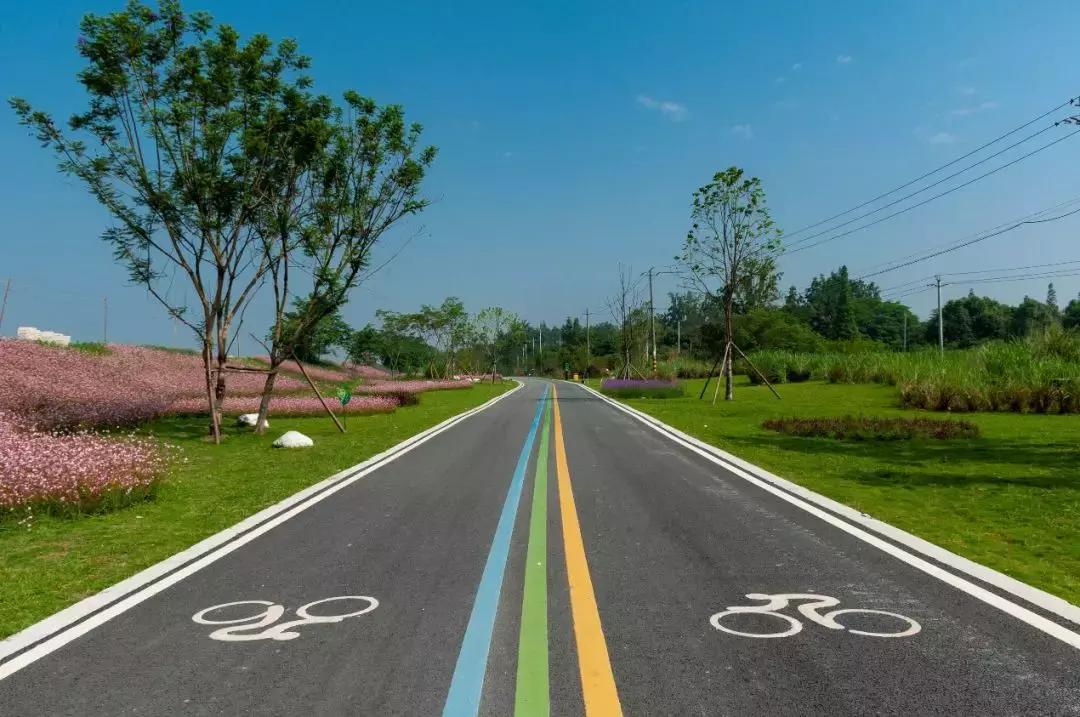 公园项目的正确玩法,公园玩法攻略