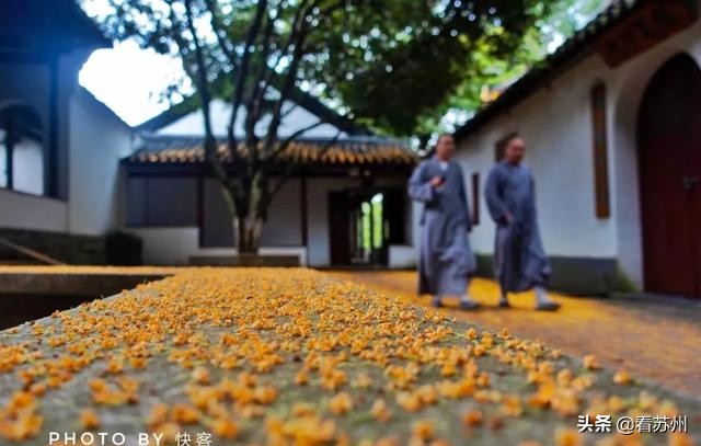 一入秋苏州怎就美成了姑苏,一入秋南京就成了金陵