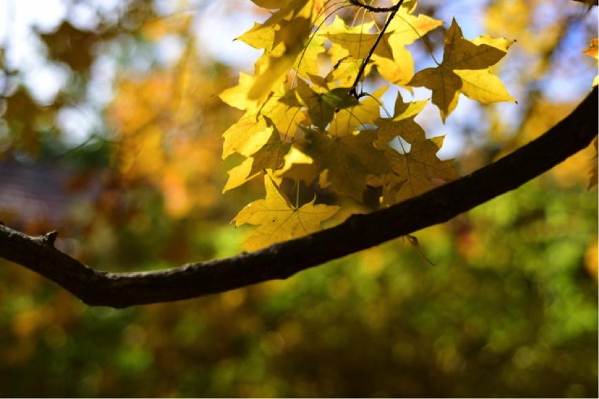拍摄超级利器尼康d750,尼康d750拍摄人文样张