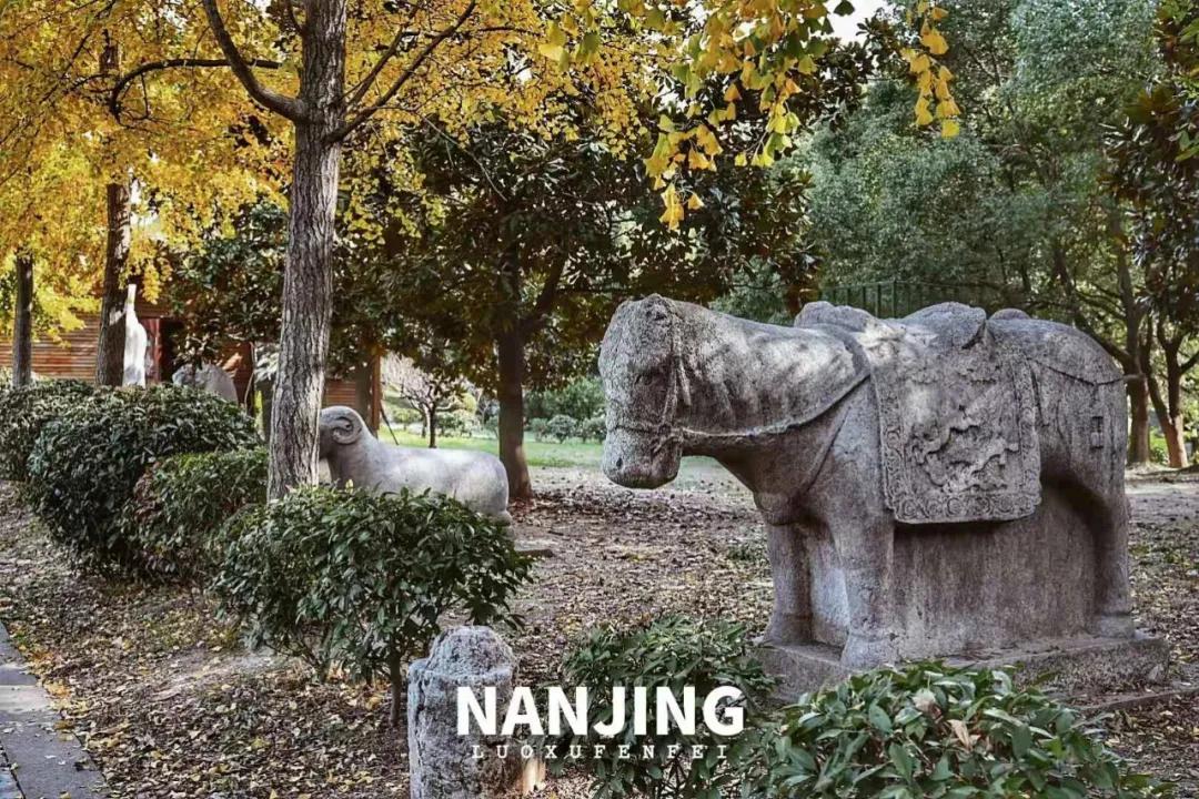 玩完南京去哪里玩景点推荐,南京钟山风景区秋天一日游攻略