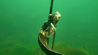 普通人怎么用手机拍大片,普通人用手机如何拍视频