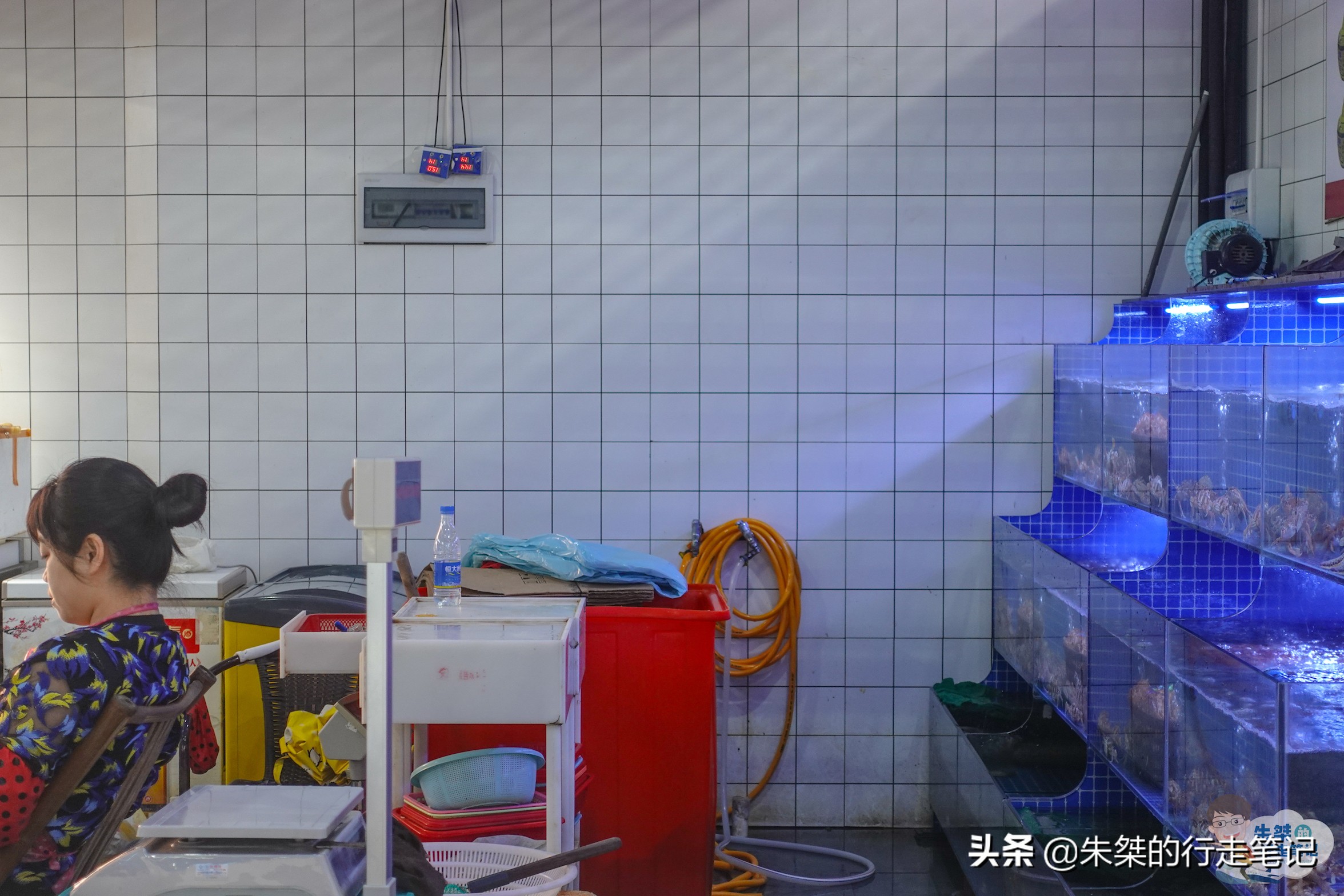 宁波超现代菜场,宁波最高档菜场