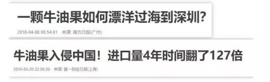 牛油果是如何被炒作起来的,牛油果怎么那么难吃还那么贵