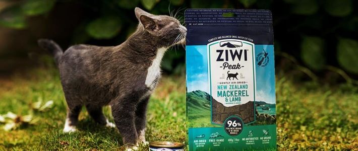 第一次养猫喂猫粮,养猫医生推荐猫粮