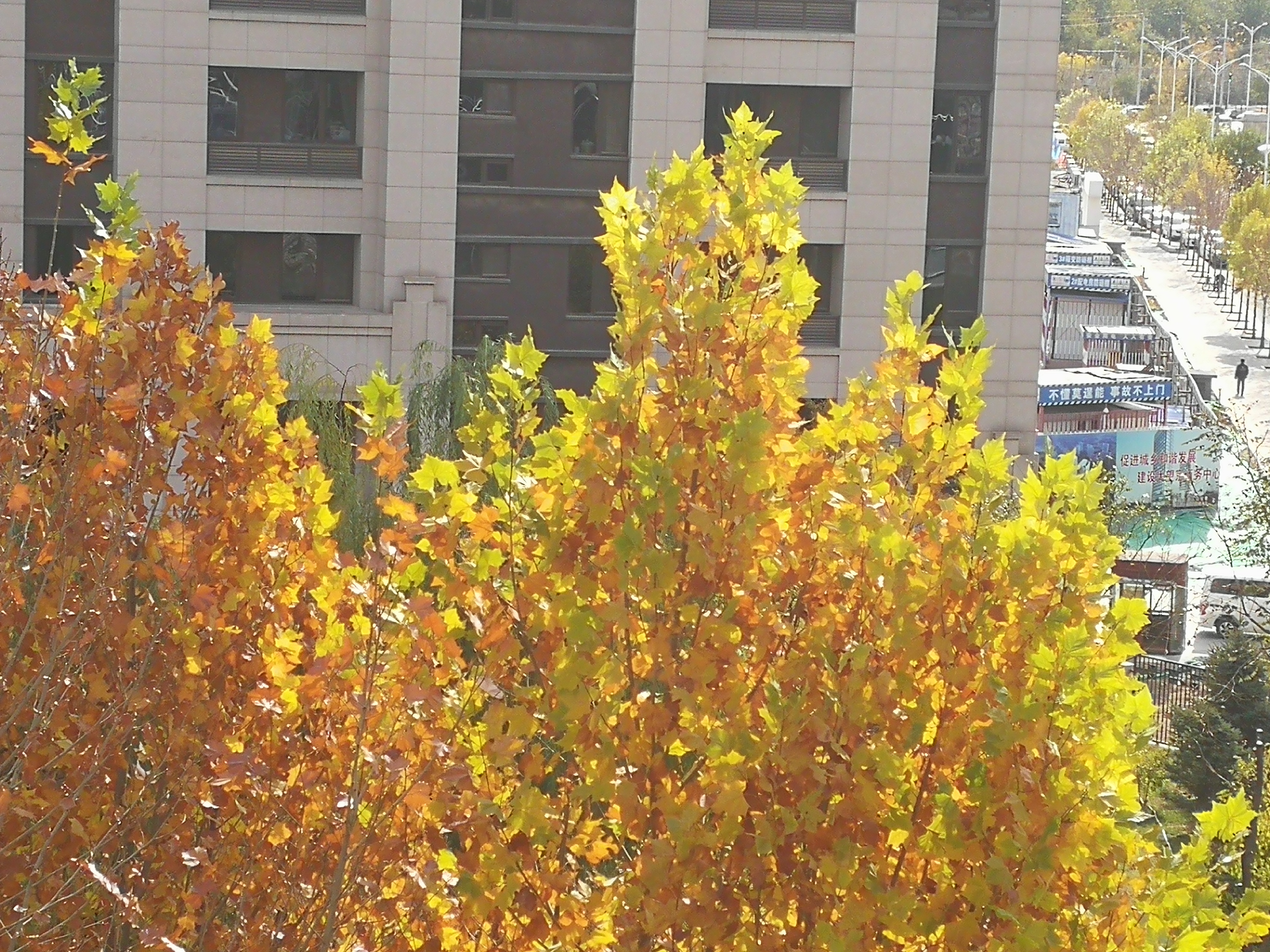 银行信用卡外包岗位值得去吗,银行外包有哪些职位