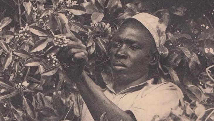 关于黑奴贸易的历史,黑奴贸易历史结束时间