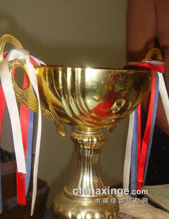 上海七旬老将的光耀：超远程结硕果公棚斩佳绩