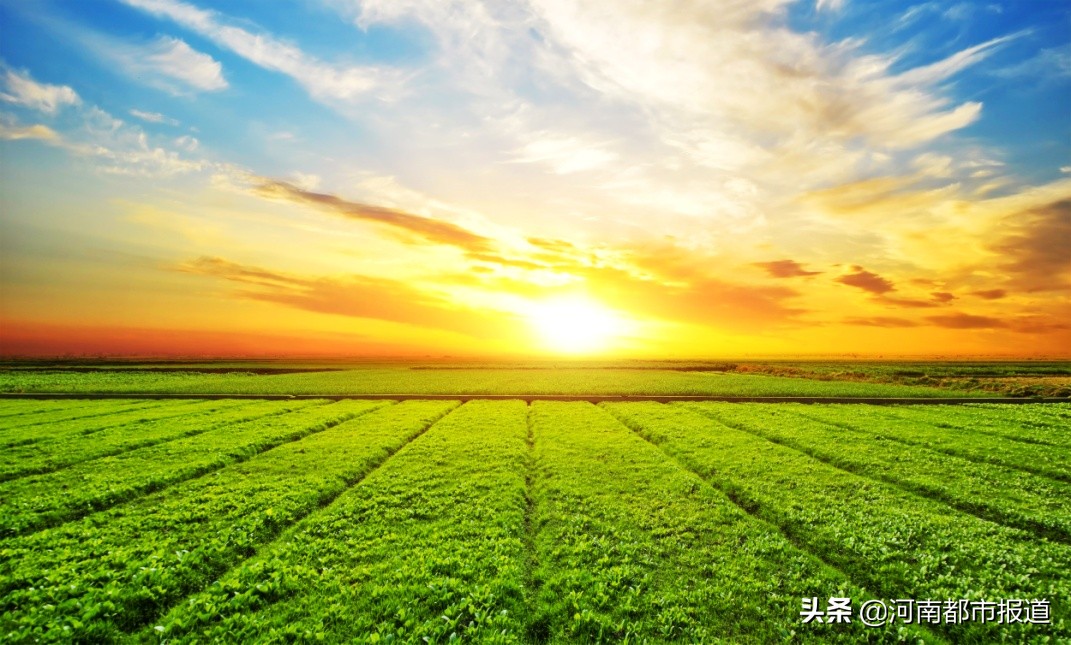 泰美嘉绿化,泰美嘉装饰公司