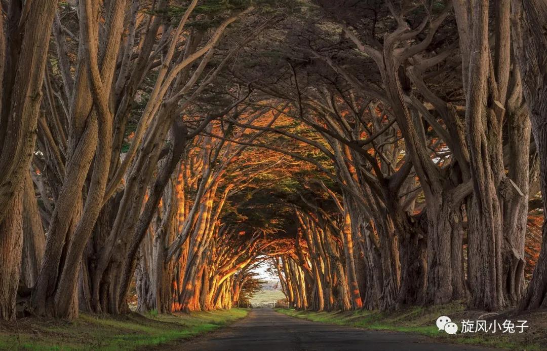 加州沿海1号公路自驾游散装系列（一）：阳光北加的金山依旧