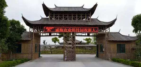 宁波周末带娃玩的好去处,宁波旅游度假山庄