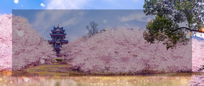 日语初级视频1-48课语法,日语语法基础知识大全讲解