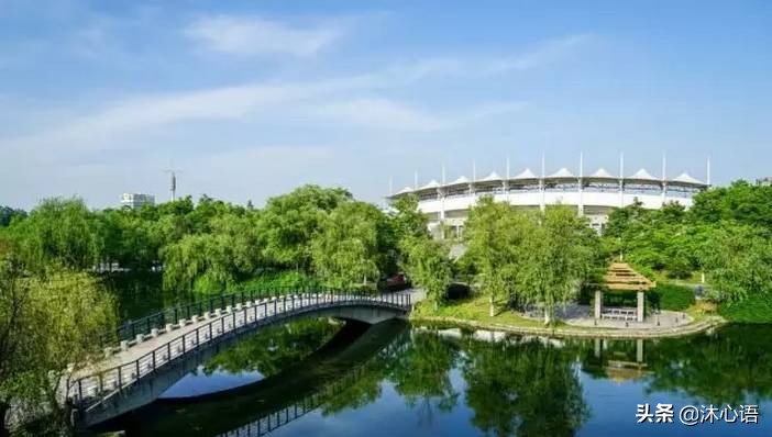 新高考志愿填报学校排名,新高考志愿报考院校专业全攻略