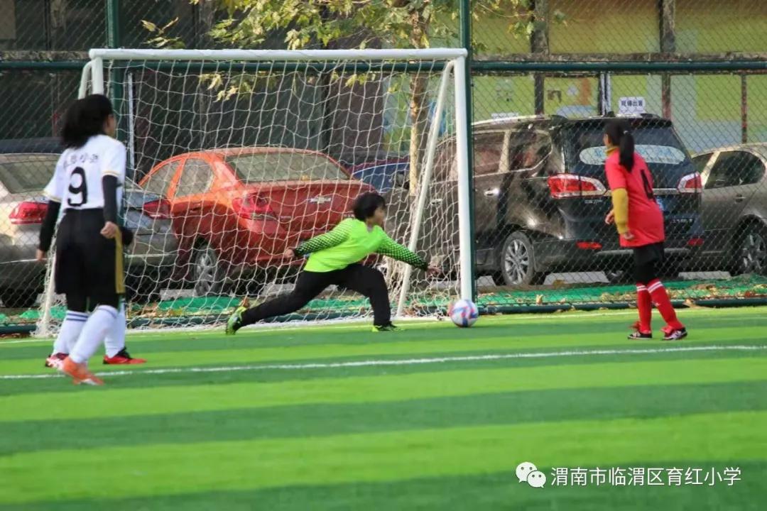 育红小学,育红小学扬帆起航