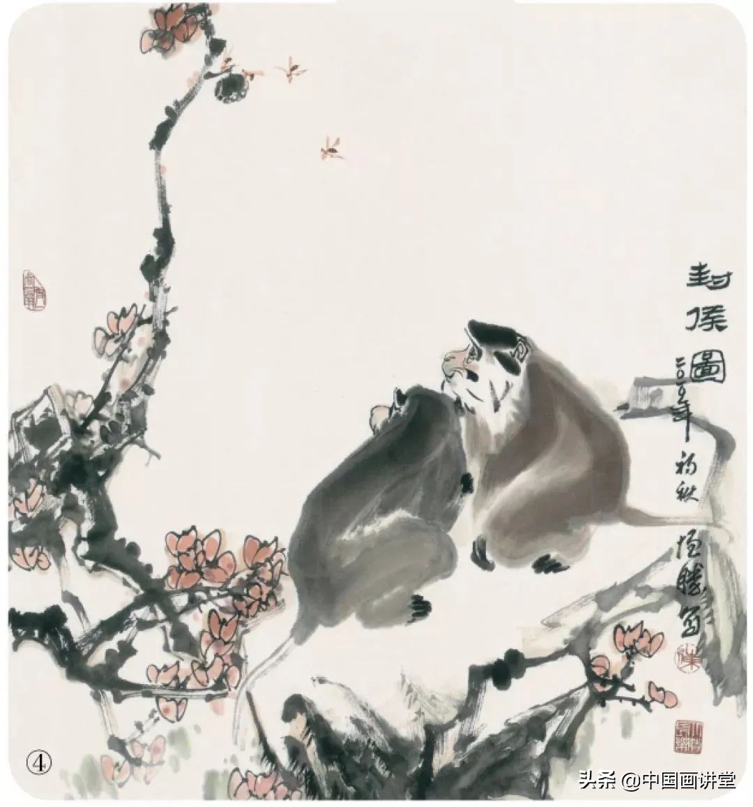 国画猴子入门教学,国画猴子简单的画法