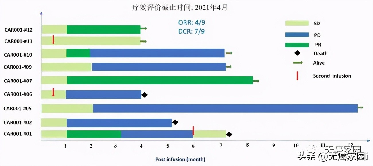 中国cart细胞疗法上市,car-t新药进展