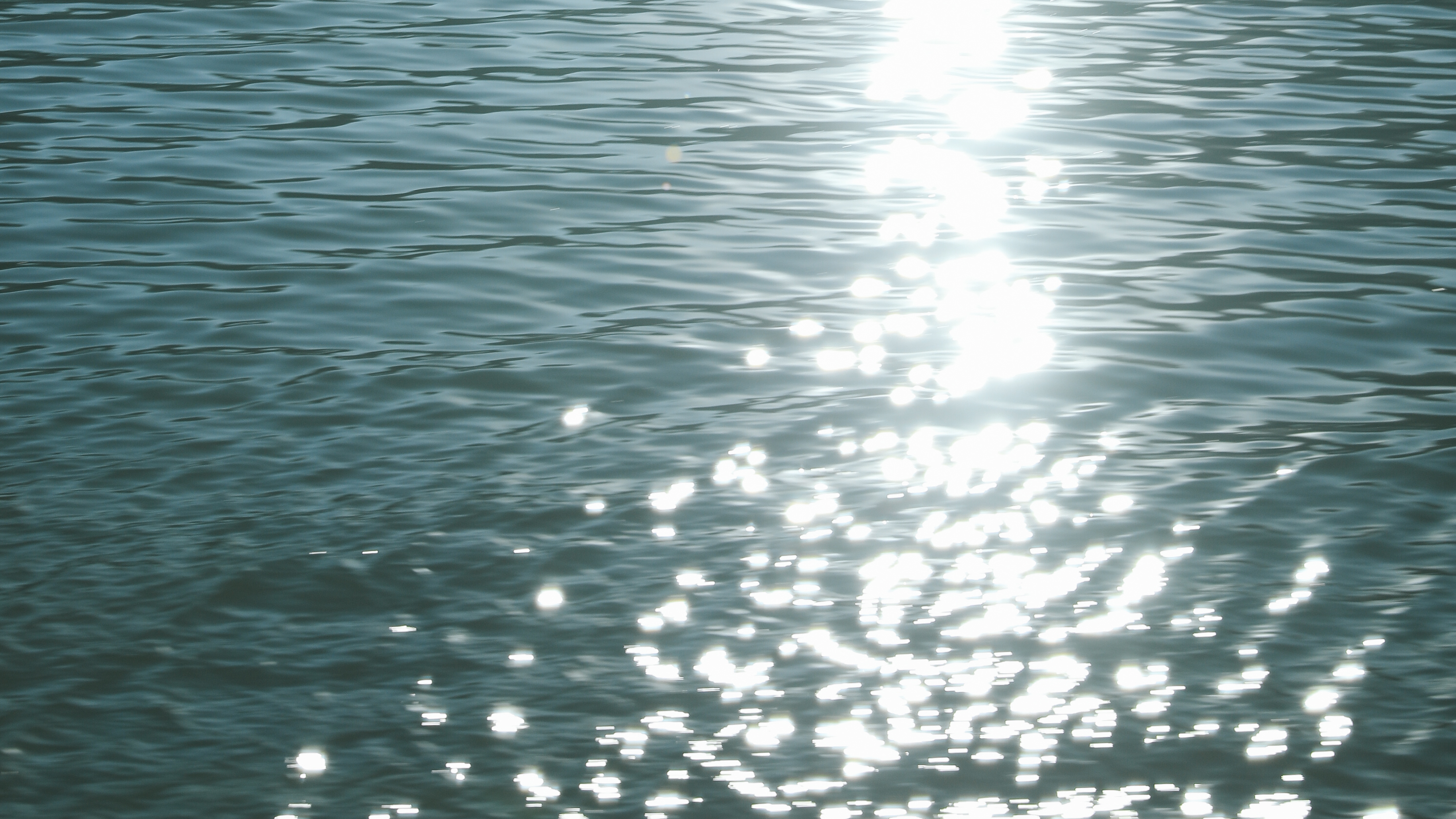 带你Get《司藤》同款神仙美景,春天的香格里拉这样玩