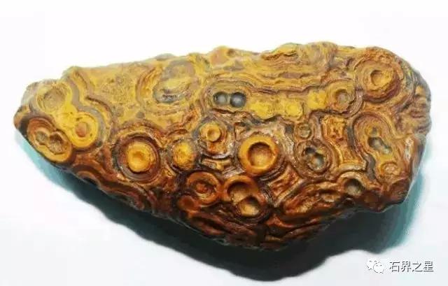 捡到石头真的能暴富吗,捡到就能暴富的东西