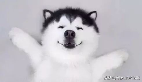 马鞍山初升高升学率,升升最近视频