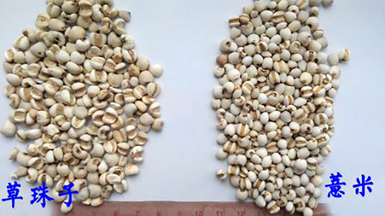 有没有真正祛湿成功的人,谁才是祛湿猛药