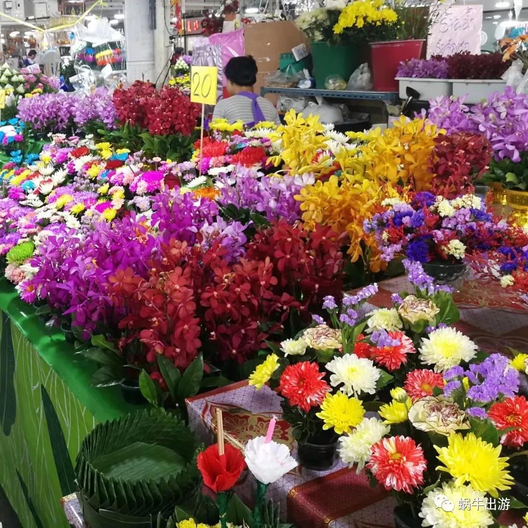 飞机绕地球一圈的纪录,绕地球飞行100圈