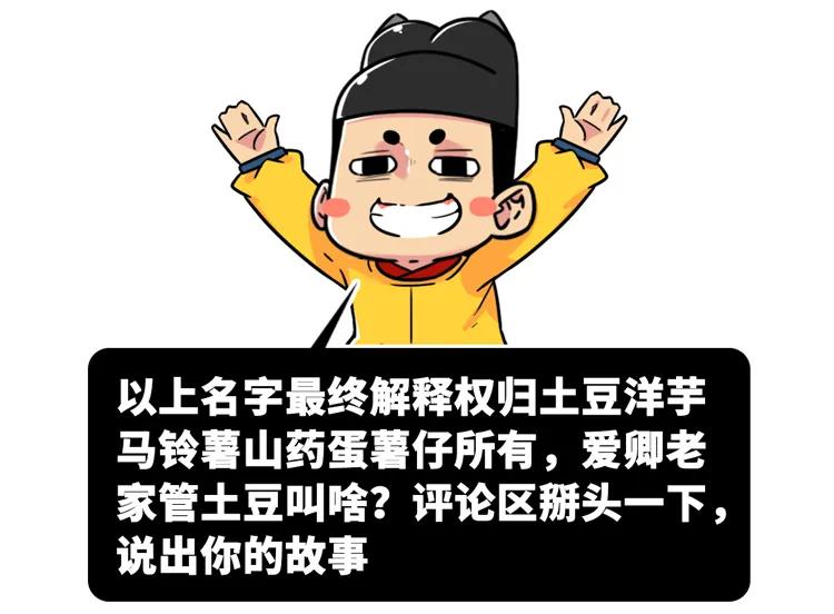 一个马铃薯能做什么,一个马铃薯可以做什么