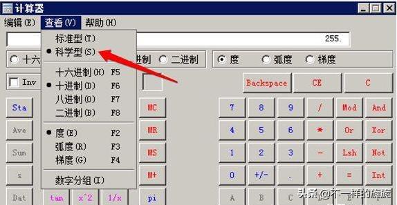 电脑网络ip地址是不是固定的,通俗易懂讲解ip地址