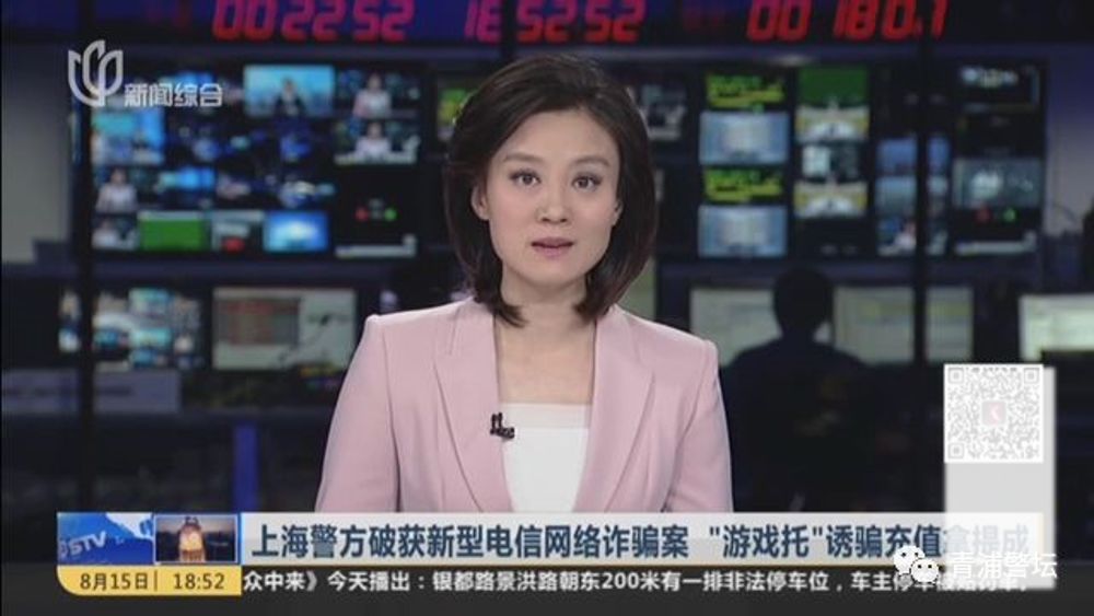 诈骗案案例及处理结果,诈骗案9个多月了还没结果