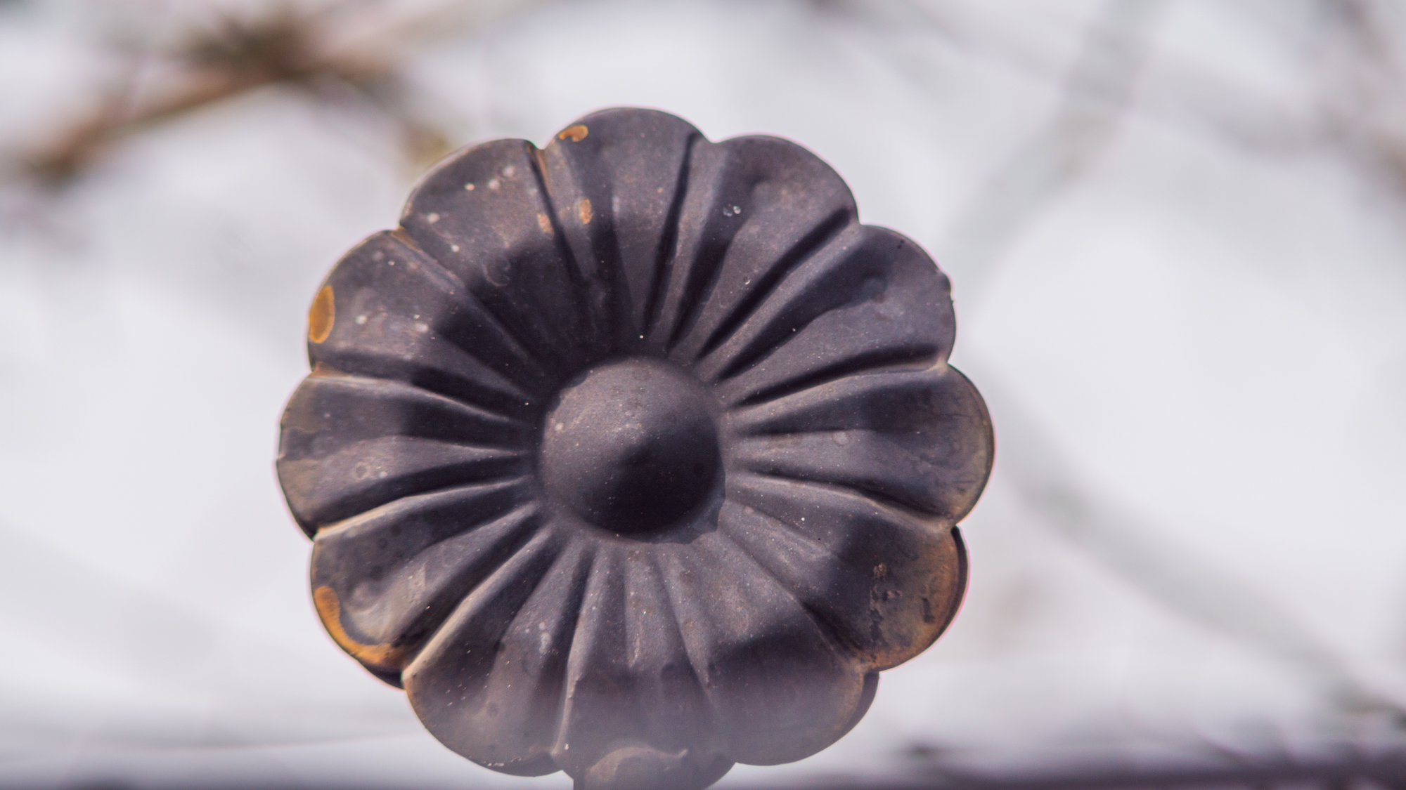 镜头霉变怎么办,相机镜头里面发霉了怎么处理