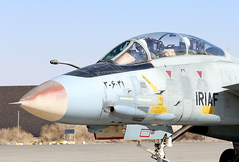 猫咪需要哪些用品,猫迷惑新技能