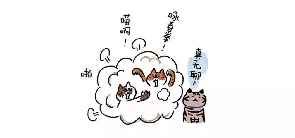 养猫指南免费阅读,养猫指南手册