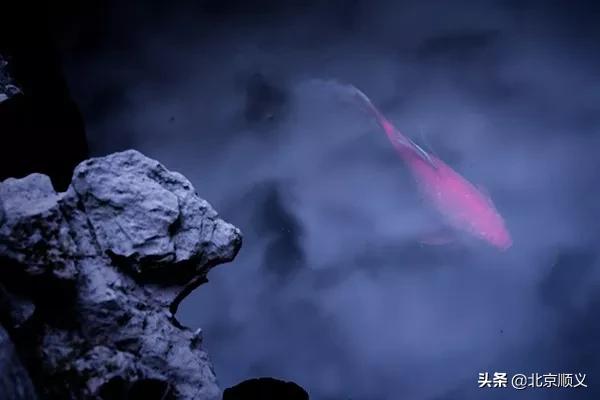 今日立春愿所有美好如期而至,今日立春愿一切美好随春而至