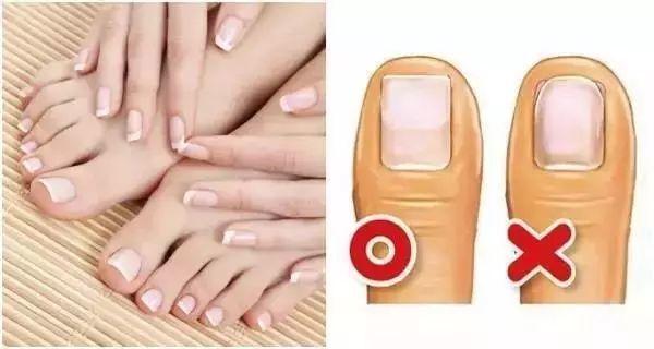 德国进口钛合金指甲刀,德国精工超薄指甲刀