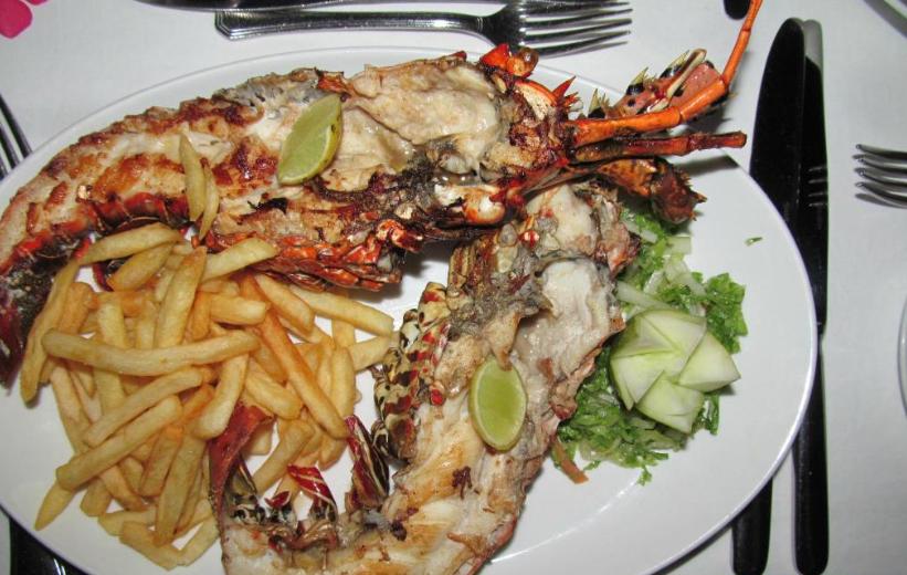 2020马尔代夫比亚度岛游玩攻略，全面介绍房型美食活动和一价全包