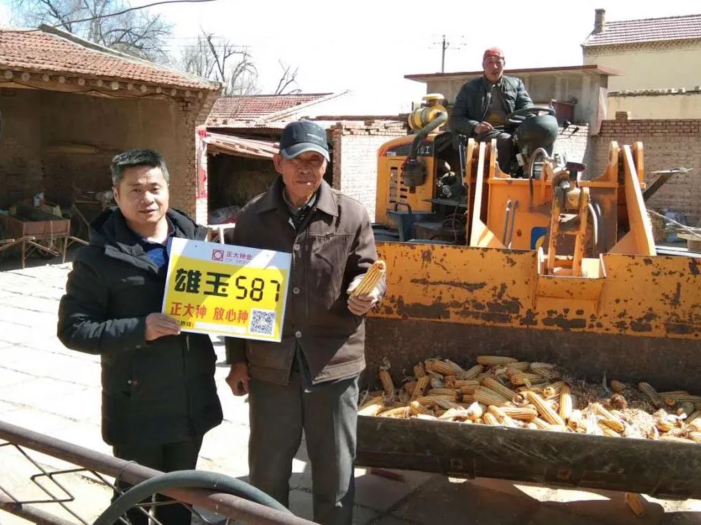 正大种业有哪几个,正大种业县级代理商